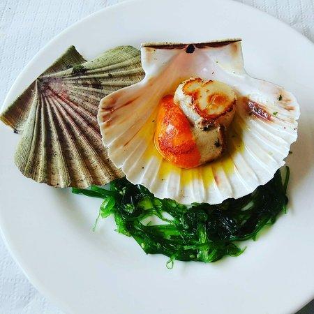 Marisqueria El Barco